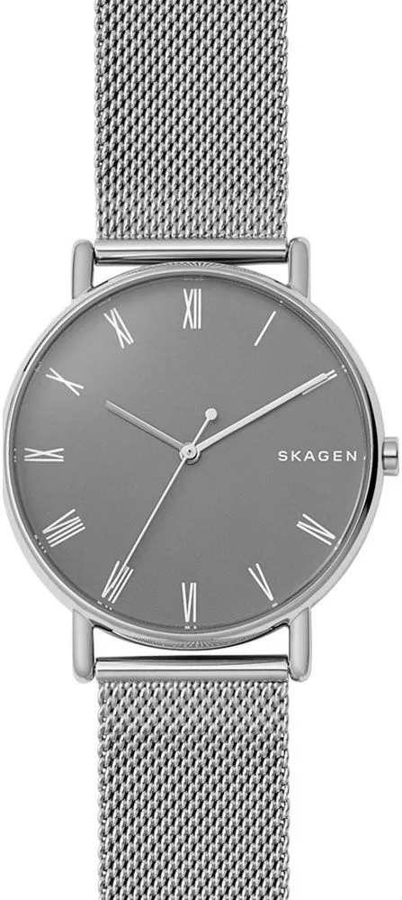 Zegarek męski Skagen Signatur SKW6428