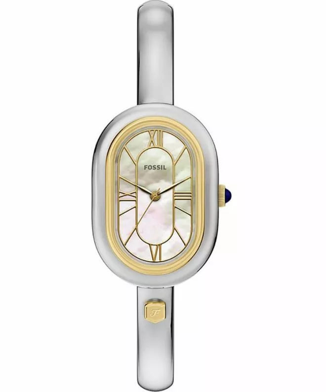 Zegarek Fossil Sloan ES5455