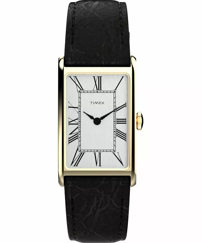 Zegarek męski Timex Lab Lab Reissue TW2Y56200