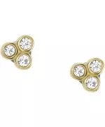 Kolczyki Fossil Sadie