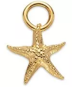 Naszyjnik Paul Hewitt Set Starfish Charm and Necklace Gold PH-JE-0782