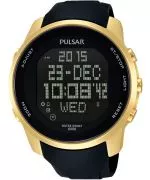 Zegarek męski Pulsar PQ2048X1