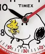 Zegarek Dziecięcy Timex Time Teacher TW2R41600