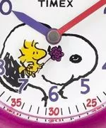 Zegarek Dziecięcy Timex Time Teacher TW2R41700