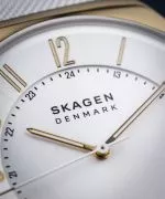 Zegarek Skagen Grenen SKW6816