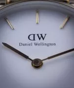 Zegarek damski Daniel Wellington Petite Evergold 28 DW00100350