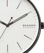 Zegarek damski Skagen Signatur SKW6550
