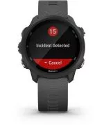 Smartwatch Garmin Forerunner 245 010-02120-10