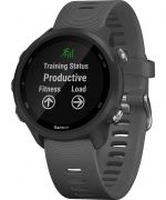 Smartwatch Garmin Forerunner 245 010-02120-10
