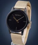 Zegarek męski Esprit Classy ES1G109M0105