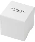 Zegarek męski Skagen Aaren Naturals SKW6730
