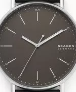 Zegarek męski Skagen Signatur SKW6528