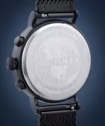 Zegarek męski Timex Standard TW2T21200CM