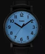 Zegarek Timex Originals T2N346