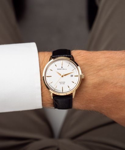 Zegarek męski DESTELL Pictor Silver Gold Black Leather Sapphire