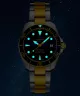Zegarek Certina Aqua DS Action Diver Sea Turtle Conservancy Special Edition C032.807.22.041.10 (C0328072204110)
