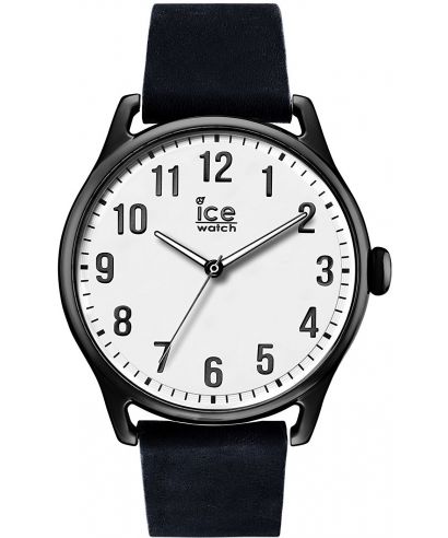 Ice Time 013041