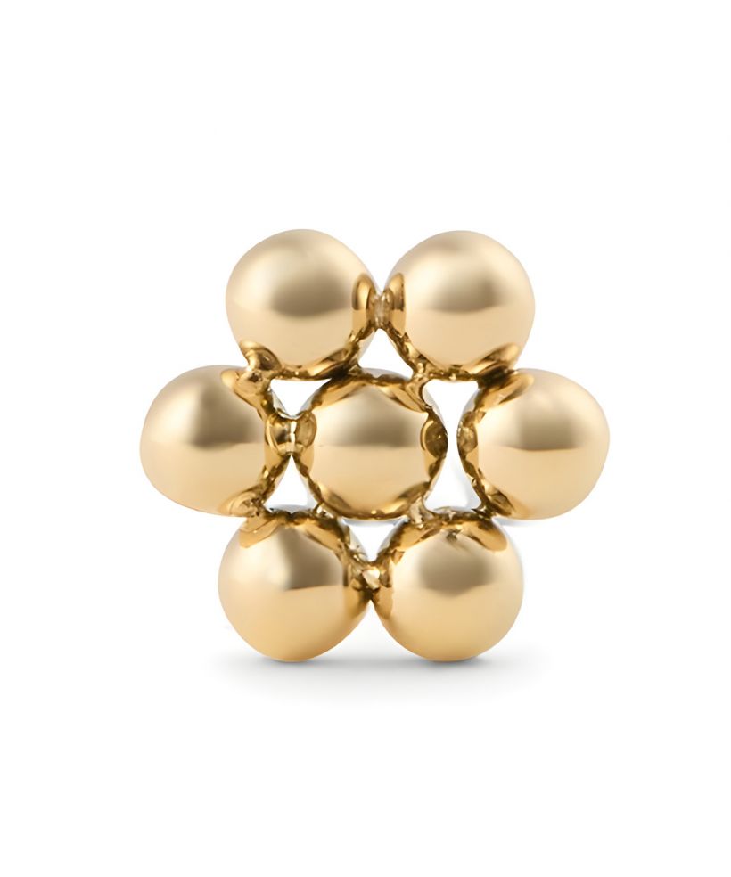 Kolczyk Daniel Wellington Flower Stud Gold