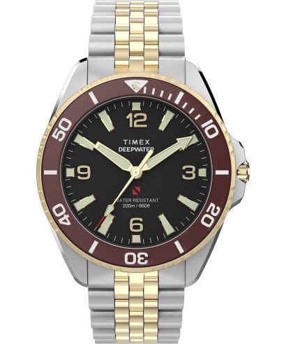 Zegarek męski Timex Deep Water Arctic